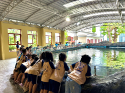 Tham quan Viện Hải Dương Học 2025