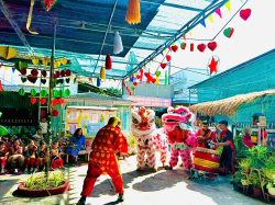 Hình ảnh TRUNG THU CỦA BÉ